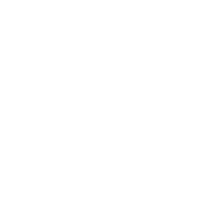 ai search optimisation service bring au digital agency