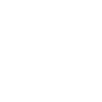 bring services seo icon core web vitals