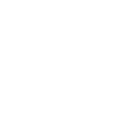 bring services seo icon entity seo