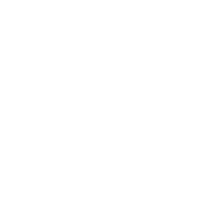bring services seo icon google ads management