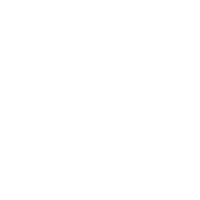 bring services seo icon google news and discover optimisation