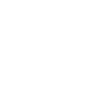bring services seo icon on page seo