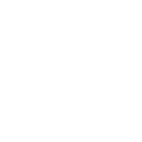 bring services seo icon progammatic media management