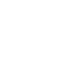 bring services seo icon technical seo