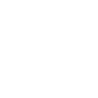bring services seo icon website migratio